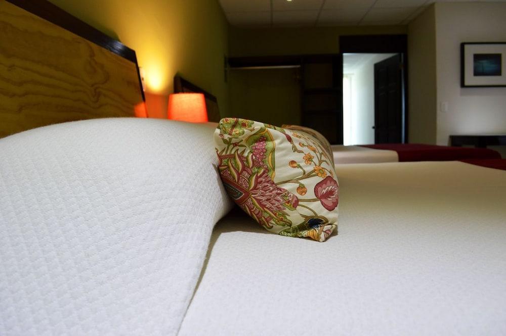 Hotel Santa Maria Del Cabo San José del Cabo Zewnętrze zdjęcie