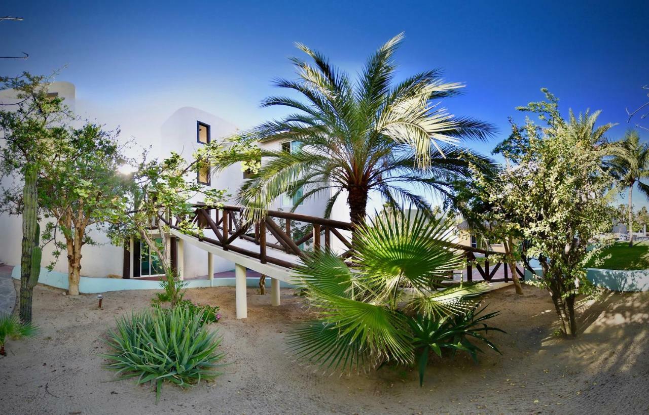 Hotel Santa Maria Del Cabo San José del Cabo Zewnętrze zdjęcie